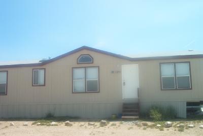 13850 E Ocotillo Bloom Dr, Vail, AZ 85641 photo 2