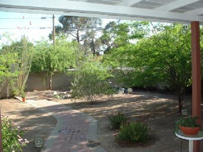 2302 E 1st St, Tucson, AZ 85719 photo 9