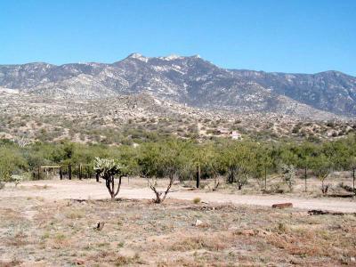 5590 Edwin Rd, Tucson, AZ 85739 photo 8