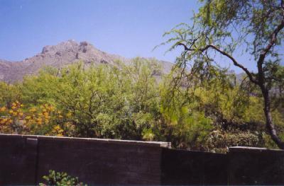 73 E Mediterranean Dr, Tucson, AZ 85704 photo 2