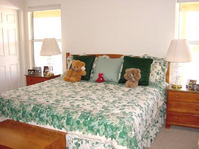 1041 N Darlene Dr, Vail, AZ 85641 photo 4