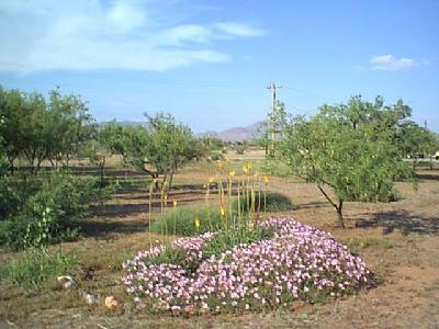 11372 N Old Fort Grant Rd, Willcox, AZ 85643 photo 6