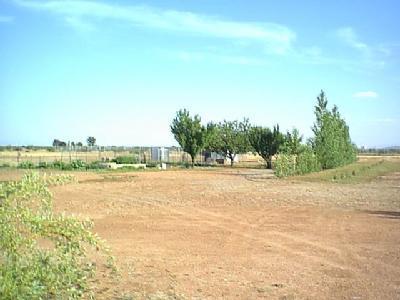 11372 N Old Fort Grant Rd, Willcox, AZ 85643 photo 8