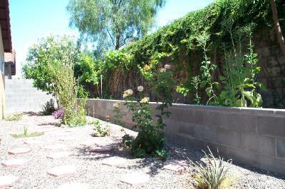 5126 E Circulo Las Cabanas, Tucson, AZ 85711 photo 4