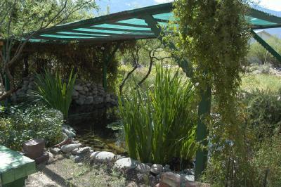 5270 E Cloud Nine Dr, Tucson, AZ 85739 photo 5