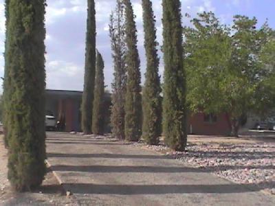 9521 E Thomas Pl, Tucson, AZ 85748 photo 2