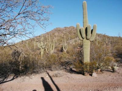 48415 Eagle Nest, Saddlebrooke, AZ 85739 photo 8