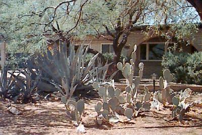 9255 E Walnut Tree Dr, Tucson, AZ 85749 photo 1