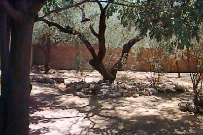 9255 E Walnut Tree Dr, Tucson, AZ 85749 photo 7