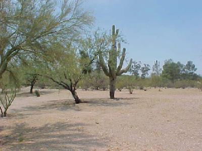 10155 E Prince Rd, Tucson, AZ 85749 photo 6