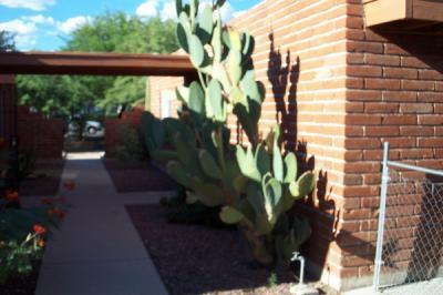1424 E Grant Rd, Tucson, AZ 85719 photo 1
