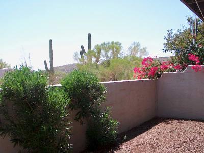 7488 E Wandering Rd, Tucson, AZ 85750 photo 2