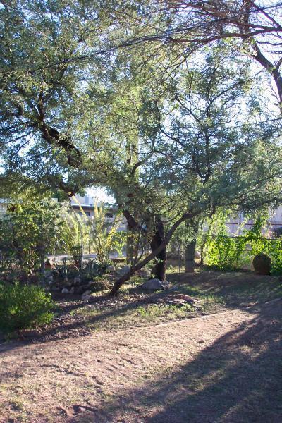 1010 E Grant Rd, Tucson, AZ 85719 photo 6