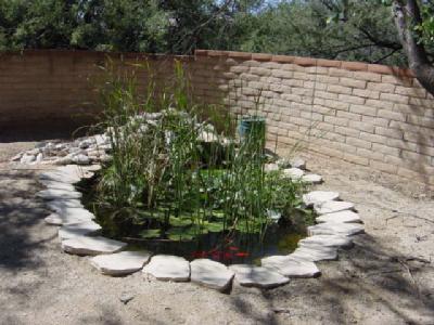 7982 E Coronado Rd, Tucson, AZ 85750 photo 4