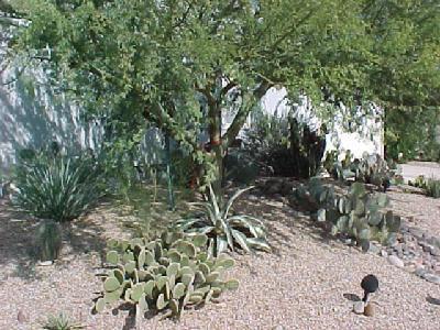 6187 E Thunder River Dr, Tucson, AZ 85706 photo 2