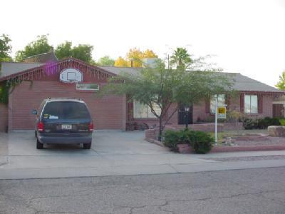 4809 W Cheetah St, Tucson, AZ 85742 photo 1