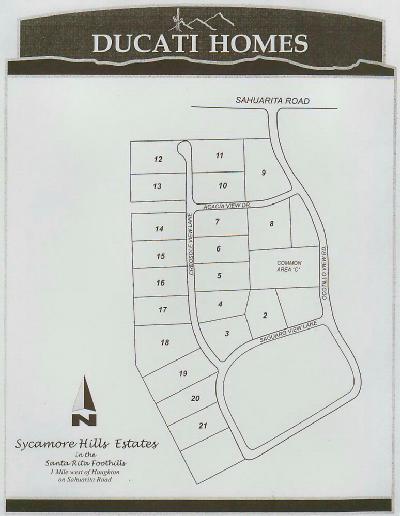 16278 S Creosote View Ln, Vail, AZ 85641 photo 4