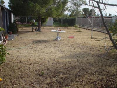 4354 S Boxwood, Tucson, AZ 85730 photo 5