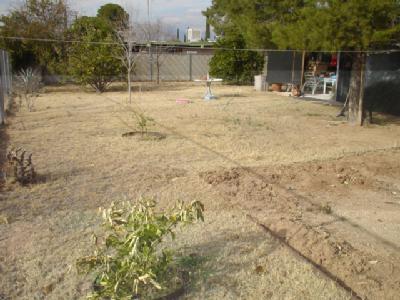 4354 S Boxwood, Tucson, AZ 85730 photo 6