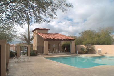 568 N Squirrel Tail Dr, Tucson, AZ 85704 photo 8