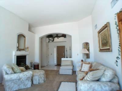568 N Squirrel Tail Dr, Tucson, AZ 85704 photo 4