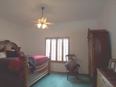 568 N Squirrel Tail Dr, Tucson, AZ 85704 photo 6
