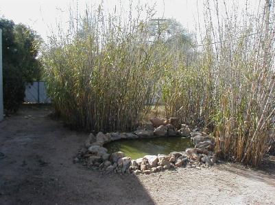 4641 E 12th St, Tucson, AZ 85711 photo 5