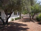 5634 E 24th St, Tucson, AZ 85711 photo 5