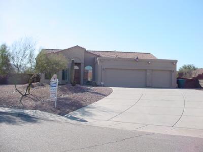 10608 E Barclay Park Loop, Tucson, AZ 85748 photo 1