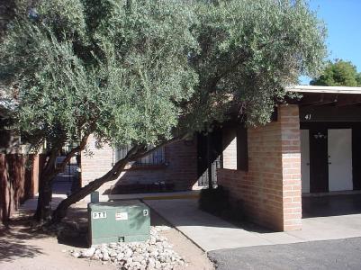 41 E Pastime Rd, Tucson, AZ 85705 photo 1