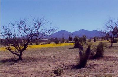 25135 E Comanche Trl, Benson, AZ 85602 photo 10