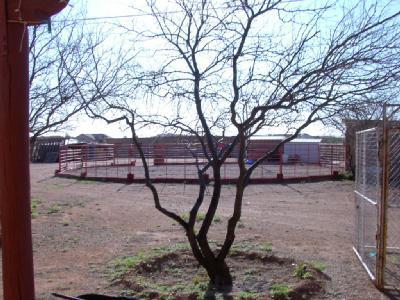 1001 N Calle Rinconado, Vail, AZ 85641 photo 2