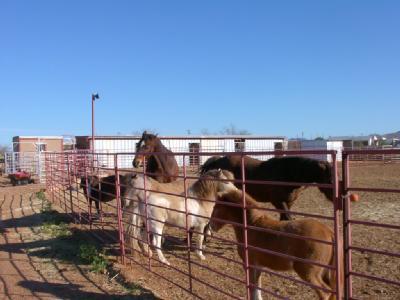 1001 N Calle Rinconado, Vail, AZ 85641 photo 6