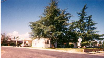 119 W Silverwood Ln, Benson, AZ 85602 photo 2