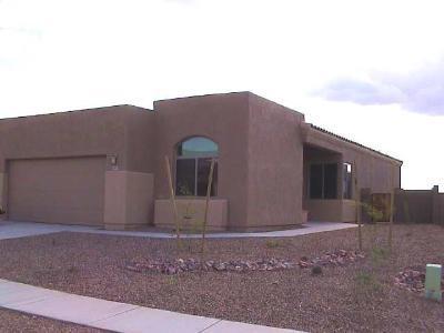 462 E Cactus Mountain Dr, Vail, AZ 85641 photo 1
