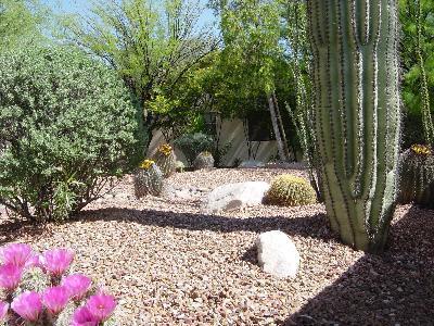 3530 W Thundercloud Loop, Tucson, AZ 85742 photo 9