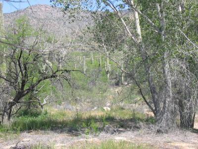 6481 S Upper Valley Rd, Vail, AZ 85641 photo 8