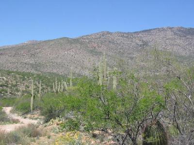 6481 S Upper Valley Rd, Vail, AZ 85641 photo 7