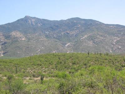 6481 S Upper Valley Rd, Vail, AZ 85641 photo 6