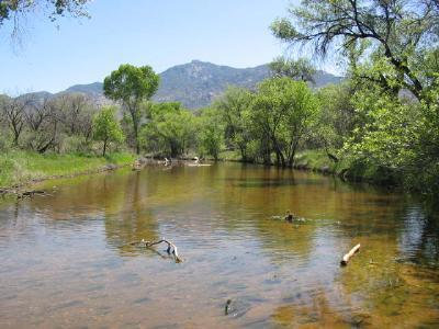 6481 S Upper Valley Rd, Vail, AZ 85641 photo 4