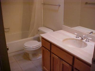 4201 E Allison Rd, Tucson, AZ 85712 photo 6