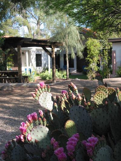 2008 E Mabel St, Tucson, AZ 85719 photo 3