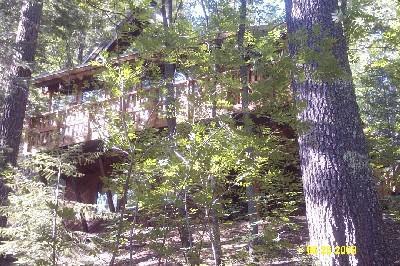 11065 E Grosbeak Ln, Mount Lemmon, AZ 85619 photo 1