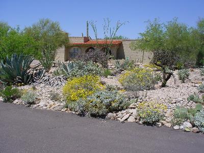 3779 E Lizard Rock Pl, Tucson, AZ 85718 photo 1
