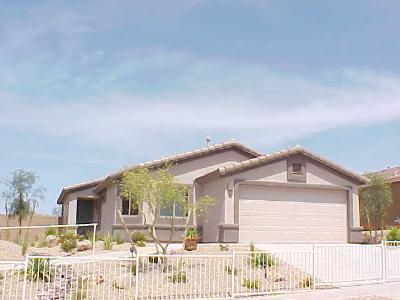 733 E Blue Rock Way, Vail, AZ 85641 photo 1