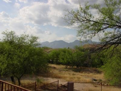 9846 E Forest Grove Loop, Tucson, AZ 85749 photo 10