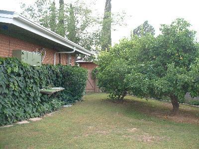 8867 E Mcclellan St, Tucson, AZ 85710 photo 2