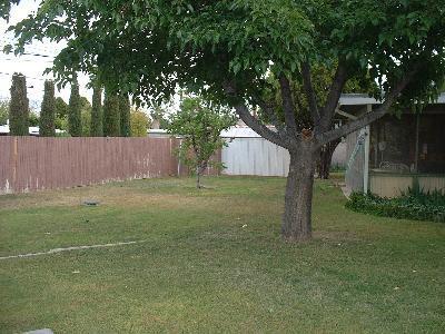 8867 E Mcclellan St, Tucson, AZ 85710 photo 3