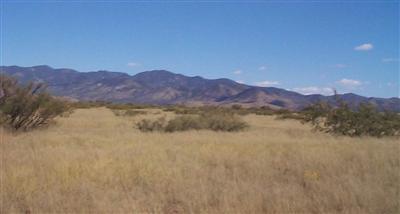 9797 E Shamrock Ln, Pearce, AZ 85625 photo 7