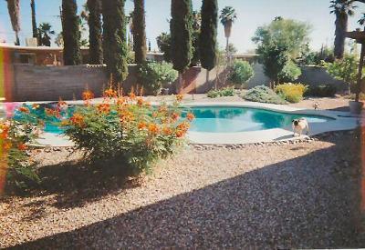 9562 E 28th St, Tucson, AZ 85748 photo 6